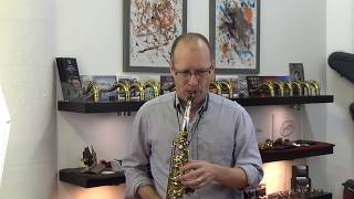 Yani AW037 alto sax silver