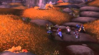IRGUILD - DESPEDIDA VALE DAS FLORES ETERNAS