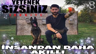 İP ÜZERİNDE YÜRÜYEN K-9 KÖPEK | YETENEK SİZSİNİZ TÜRKİYE 7.SEZON FİNALİSTİ |