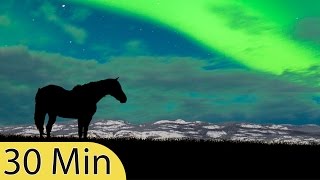 30 Minute Deep Sleep Music, Peaceful Music, Meditation Music, Sleep Meditation Music, ☯690B