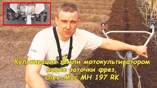 Культивация земли мотокультиватором после заточки фрез, Oleo-Mac MH 197 RK #деломастерабоится