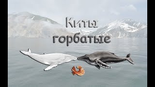 Русская Рыбалка 3.99 Ловим китов - стрим 2020.01.31