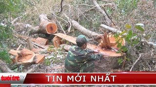 ⚡ Tin mới nhất | Điều tra vụ phá rừng quy mô lớn tại vườn quốc gia Yok Đôn