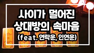 [타로카드] 사이가 멀어진 상대방의 속마음 (연락운/재회운/인연운/속마음)