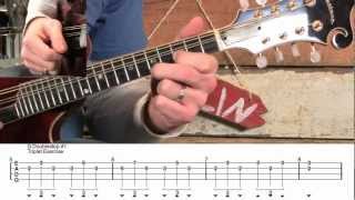 Mandolin Doublestop Exercise- Patterns for Fills/Tremolo!