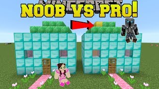 Minecraft: NOOB VS PRO!!! - SPOT THE DIFFERENCE!! - Mini-Game