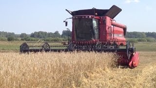 Комбайн Кейс Аксиал Флоу 6088. Case IH Axial Flow 6088