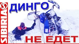 Динго НЕ ЕДЕТ. Динго Т150 по глубокому снегу с настом. Ирбис динго т150 проходимость