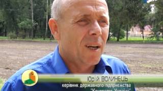 Школа верхової їзди для дітей запрацює у Тернополі вже до кінця літа