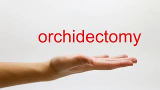 How to Pronounce orchidectomy - American English