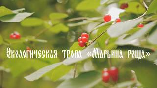 экотропа Марьина роща