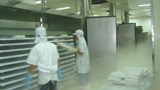 Kho lạnh thủy sản | Lắp đặt kho lạnh bảo quản thủy hải sản đông lạnh
