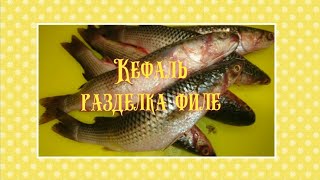 Кефаль на филе Способ разделки