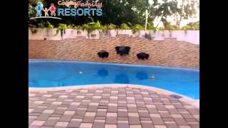 Royal Goan Beach Club at Royal Palms – Benaulim, India