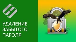 Как сбросить пароль администратора в Windows 10, 8, 7 на компьютере или ноутбуке ???️