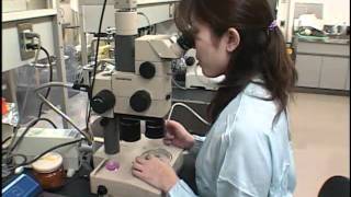 【WLP】ライフサイエンス・テクノロジー - 細胞培養・株化の技術