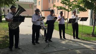 духовой оркестр играет в парке
