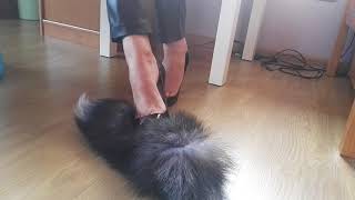 Fetish LadyIVe walking in classic high heels