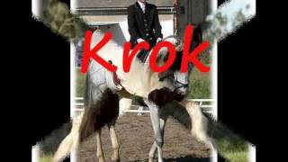 Koně