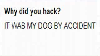 MINECRAFT TOP 10 FUNNIEST BAN APPEALS..