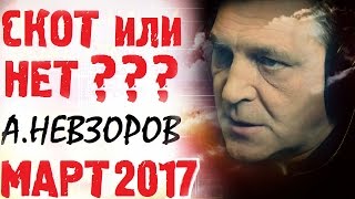 Александр Невзоров Март 2017 последнее интервью. Александр Невзоров Эхо Москвы.Невзоровские среды