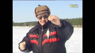 Зимой на безмотылку. In winter, the bezmotylku