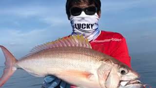 Lucky fish finder FF918-C  Lucky어군 탐지기 FF918-C 해외 어부