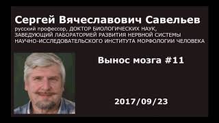 Вынос мозга 11 Зрение и мозг-2. Савельев С.В. 23.09.2017
