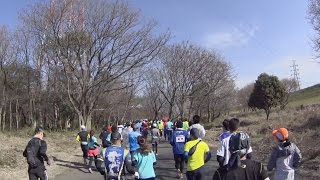 淀川 寛平マラソン2017