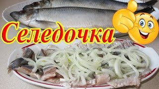 СЕЛЕДКА Рецепт / Как вкусно засолить Селедку!!!