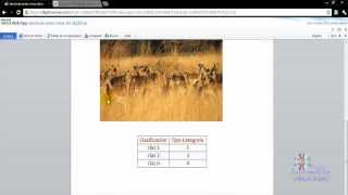 Cómo crear y editar un archivo en word web con SkyDrive