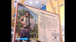 В историко-художественном музее открылась выставка «Певец балтийского казачества»