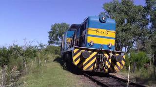 Trenes de AFE-"Saliendo de puente y llegando a 25 de Agosto"(HD)