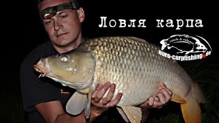 Ловля карпа на бойлы. Рыбалка на карпа