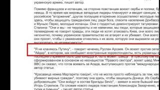 Анатолий Шарий О псевдоайдаровцах