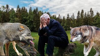 Стая огромных волков окружала лесника со всех сторон. Они жаждали мести!