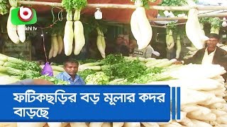 ফটিকছড়ির বড় মুলার কদর বাড়ছে