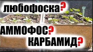 Какое удобрение лучше работает. Борьба с сорняками в рядке