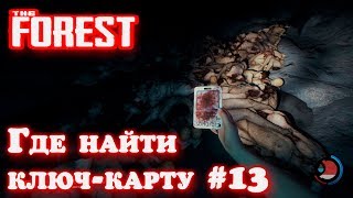 The Forest - прохождение. Где найти ключ-карту. Тестируем защиту для стен и ловушку на дереве #13