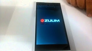 Revivir ZUUM e45