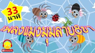 เพลงแมงมุมลายตัวนั้น แมงมุม 8 ขา Spider song | เพลงเด็ก indysong kids
