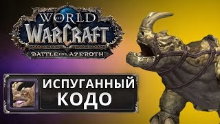 ИСПУГАННЫЙ КОДО ● НОВЫЙ МАУНТ ● WORLD OF WARCRAFT