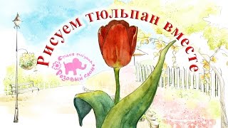 УРОКИ РИСОВАНИЯ ДЛЯ ДЕТЕЙ. Рисуем КРАСИВЫЙ ТЮЛЬПАН акварелью