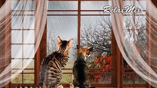 Релакс. Дождь. Гром. Звуки камина/Relax. Rain. Thunder. The sounds of the fireplace