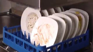 Купольная посудомоечная машина. Принцип работы и правила эксплуатации на torgoborud.com.ua