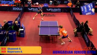 Joola Hungarian 2012 - Boys Singles Shamruk G. - Hageraats K.