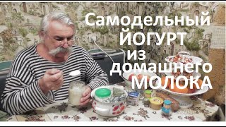 Самый лучший йогурт из домашнего молока