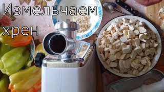 ХРЕН Как измельчить хрен в домашних условиях? Перемолоть хрен через мясорубку или натереть на тёрке?