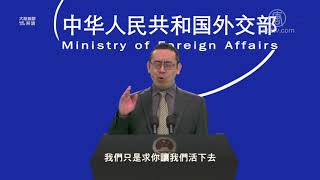 【严真点评】外交部大实话：武汉肺炎非洲失守会酿世界灾祸？