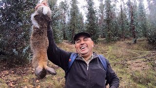 Cacería de Conejos Con Beagles En Pichilemu #2 | Conejeo Sexta Region